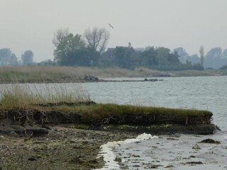 Vakantiehuis Kappel (Hunsrück) Omgeving 26