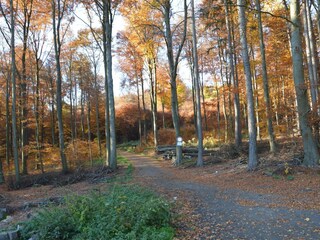 Casa de vacaciones Kemmenau Entorno 3