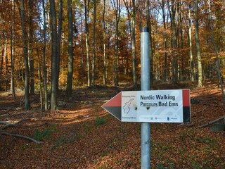 Vakantiehuis Kemmenau Omgeving 35