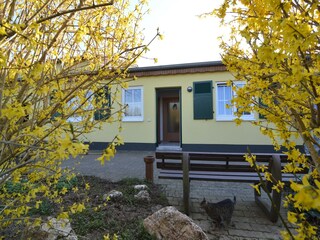 Farmhouse Mörsdorf Outdoor Recording 2