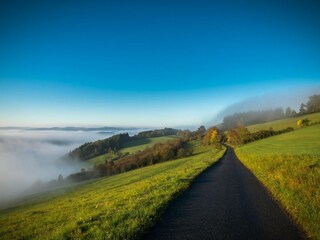 Type de propriété : Ferme Mörsdorf Environnement 25