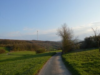 Type de propriété : Ferme Mörsdorf Environnement 26