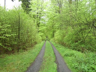 Appartamento Nisterau Ambiente 30