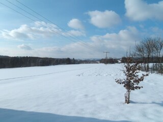 Appartamento Nisterau Ambiente 28