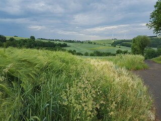 Apartment Dünfus Außenaufnahme 9