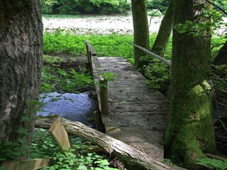 Apartment Dünfus Umgebung 32