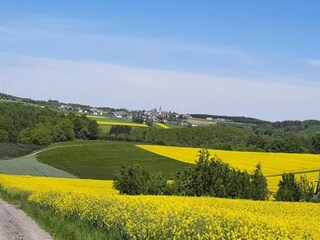 Apartment Dünfus Umgebung 41