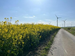 Appartement Dünfus Environnement 29