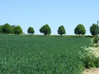 Appartement Dünfus Omgeving 44