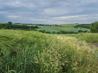 Appartement Dünfus Omgeving 45