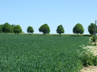 Apartment Dünfus Umgebung 30