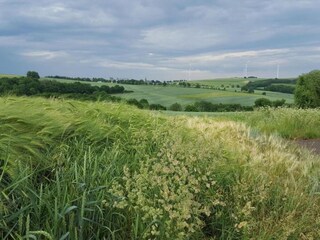 Apartment Dünfus Umgebung 28