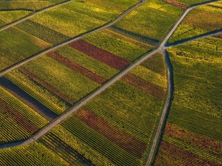 Appartamento Ernst Ambiente 20