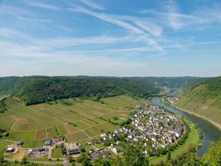 Apartamento Ernst Entorno 35