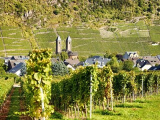 Apartamento Ernst Entorno 25