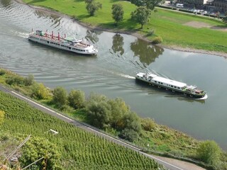 Appartement Ernst Environnement 37