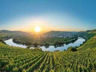Apartment Ediger-Eller Environment 33