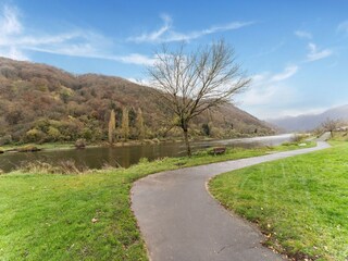 Appartement Ediger-Eller Environnement 31