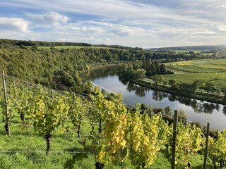 Apartment Ediger-Eller Umgebung 31