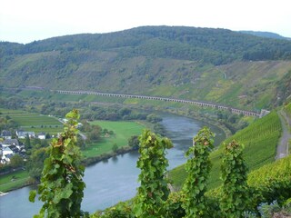 Apartamento Zell Mosel Entorno 27
