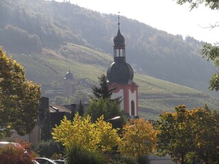 Appartement Zell Mosel Environnement 37