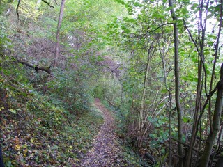 Appartement Zell Mosel Environnement 36