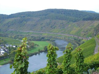 Appartamento Zell Mosel Ambiente 38