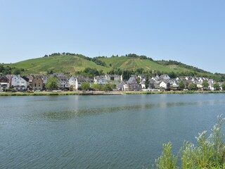 Appartement Zell Mosel Environnement 35