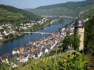 Appartement Zell Mosel Environnement 40