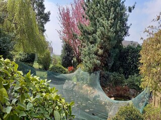 Ferienhaus Blankenrath Außenaufnahme 8