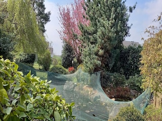 Ferienhaus Blankenrath Außenaufnahme 4