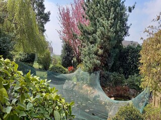 Maison de vacances Blankenrath Enregistrement extérieur 4