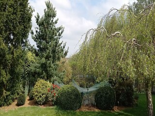 Vakantiehuis Blankenrath Buitenaudio-opname 9