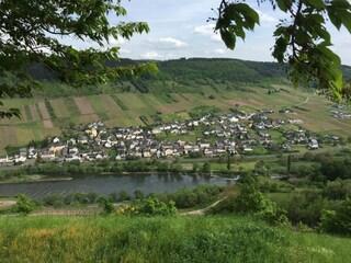 Appartamento Reil Ambiente 36