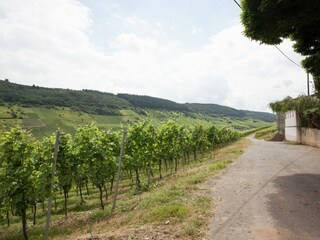 Appartamento Reil Ambiente 37