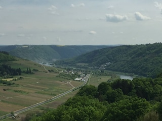 Apartment Reil Außenaufnahme 3