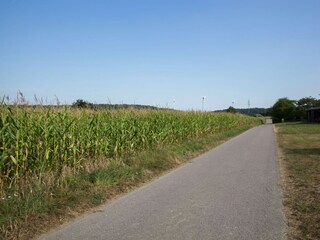 Ferienhaus Blankenrath Umgebung 6