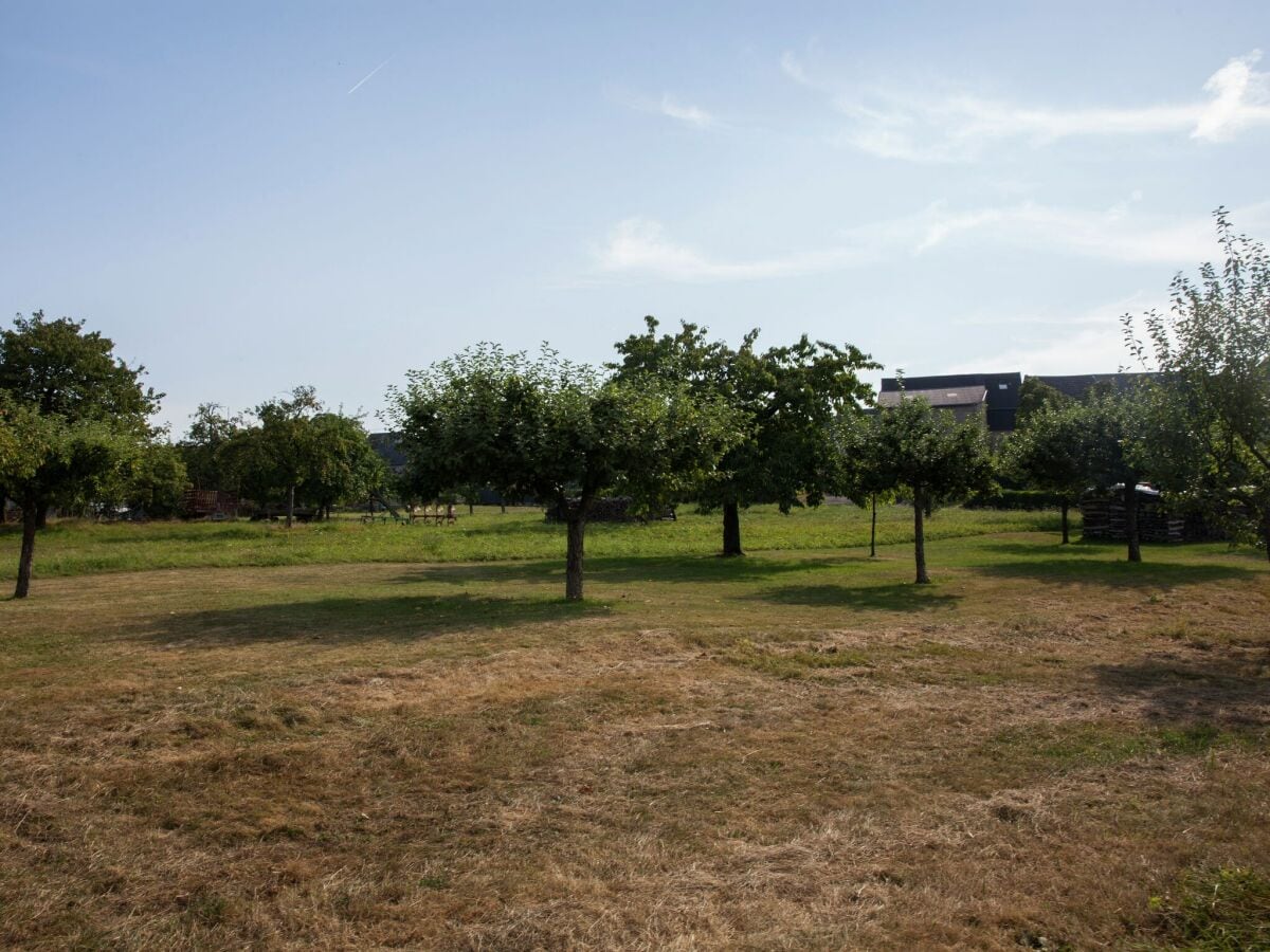 Ferienhaus Blankenrath Umgebung 4