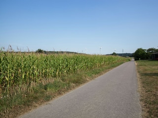 Vakantiehuis Blankenrath Omgeving 32