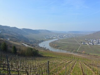 Maison de vacances Blankenrath Environnement 37