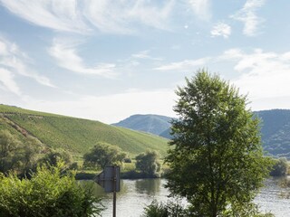 Vakantiehuis Briedel Omgeving 27