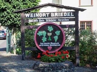 Holiday house Briedel Environment 28