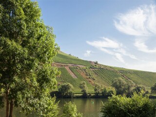 Maison de vacances Briedel Environnement 29