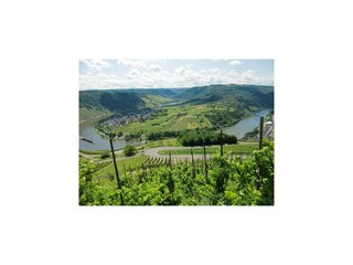 Maison de vacances Briedel Environnement 31