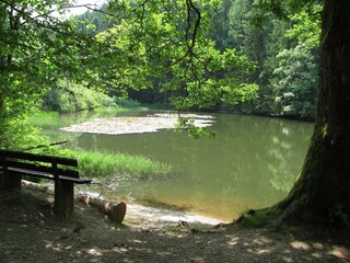 Maison de vacances Bad Laasphe Environnement 35