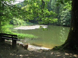 Casa per le vacanze Bad Laasphe Ambiente 31