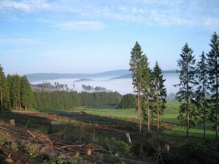 Holiday house Bad Laasphe Environment 30