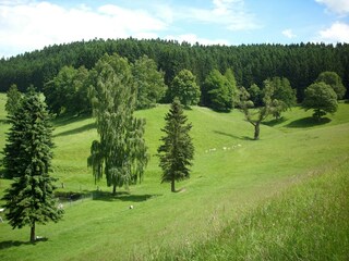 Apartamento Attendorn Entorno 13