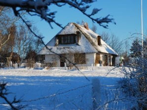 Ferienhaus Dubbels - Steenodde - image1