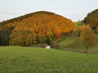 Apartment Attendorn Umgebung 28